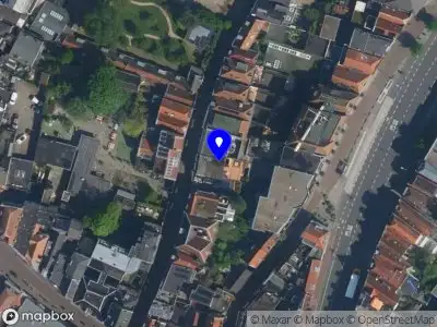 Nieuw bedrijf Oana Stan Fine Arts Research