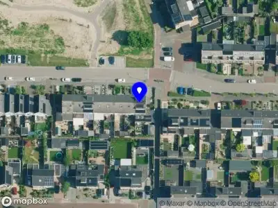 Nieuw bedrijf Nutstree Trading