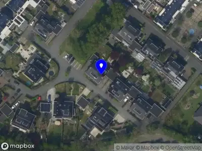 Voogel ontruiming&onderhoud