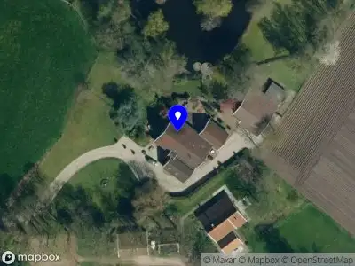 Boomspecialist Larch