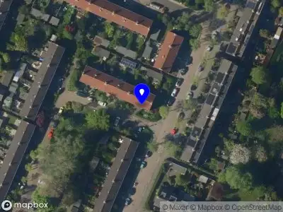 Nieuw bedrijf Bonsai Ronin