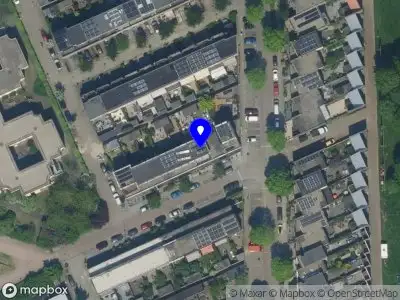 Heaven of Plants Export