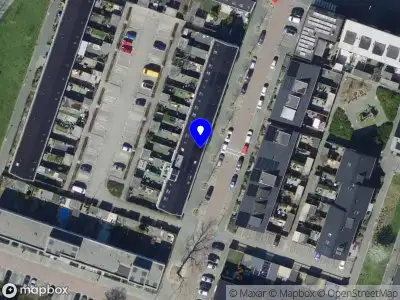 Mustapha professioneel Hoogvliet Rotterdam