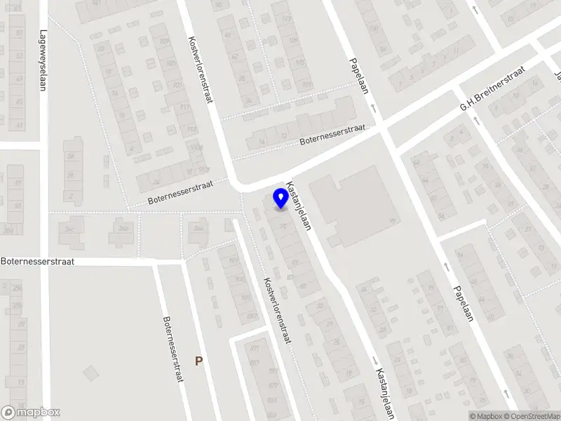 Smit & van Lokhorst Adviesbureau Weesp