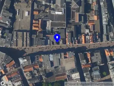 Groene Schoenen Utrecht