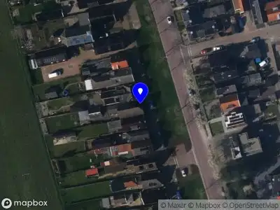 Scherjon boomverzorging