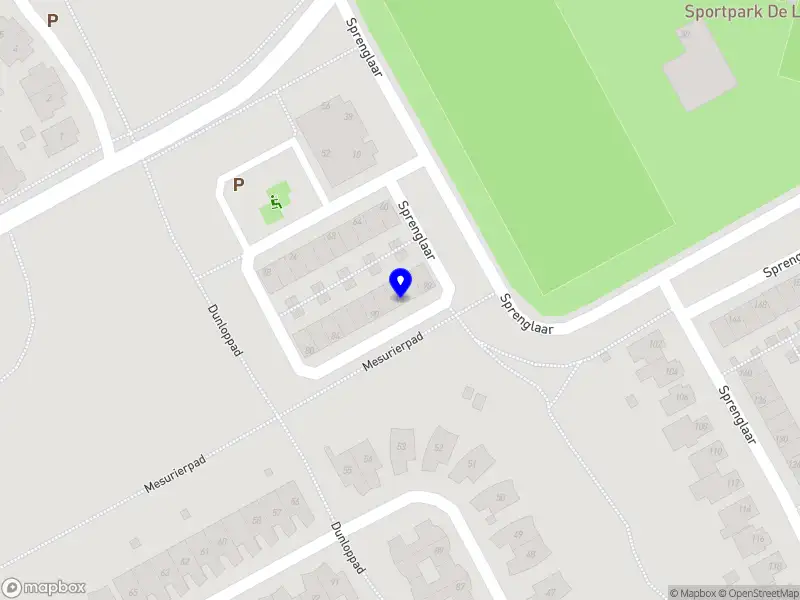 Hidden Roots Training & Coaching