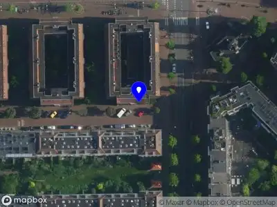 Noël Schut Amsterdam