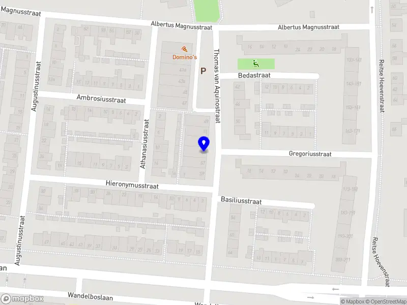 Ambersnailss Tilburg