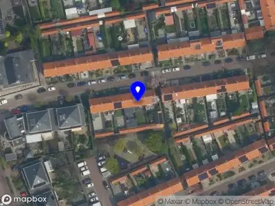 DGP management Naaldwijk