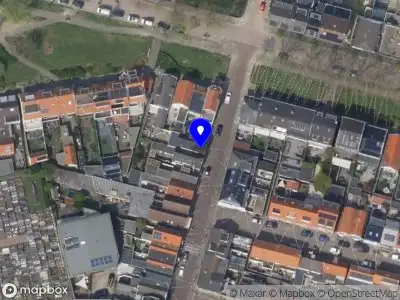 Curly B.V. Katwijk