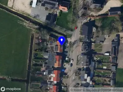 Nieuw bedrijf The Green One