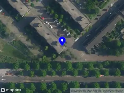 Gatogato Amsterdam