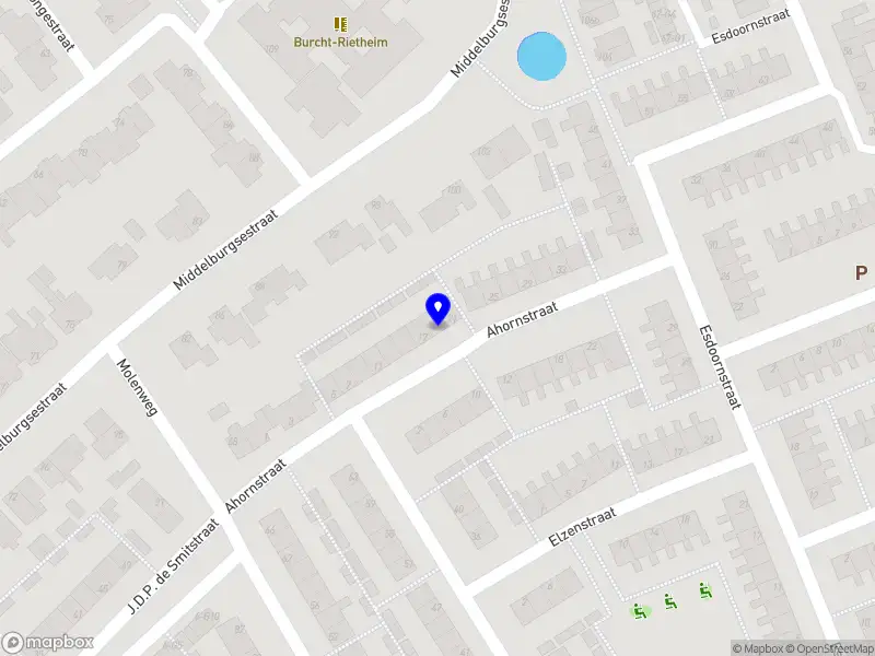 Happy Safa Trimsalon