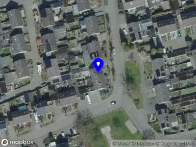 Nieuw bedrijf Junewear