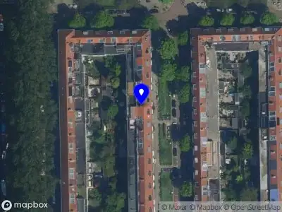 Tugce Celik Consultancy Amsterdam