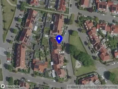 The Consultancy Tree