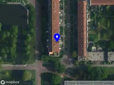 Yggdrasil boomverzorging Amsterdam