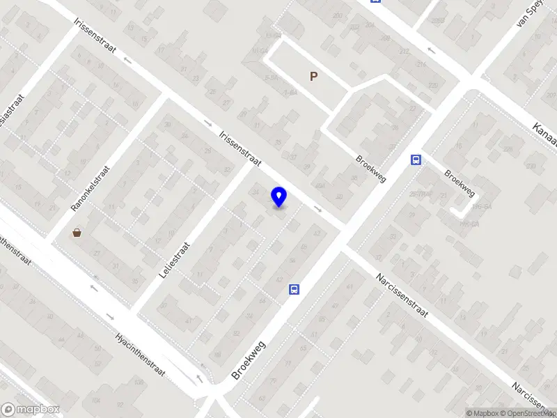 Nieuw bedrijf Flaggie