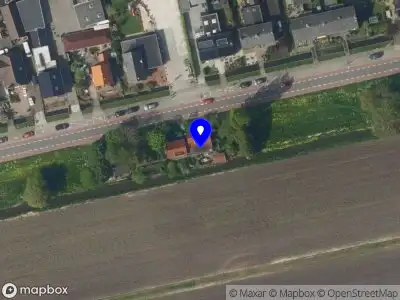 BLOOM online marketing