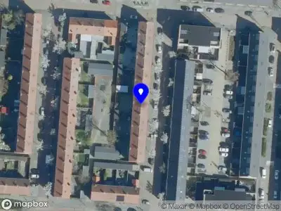 Kevin Maina van der Ven