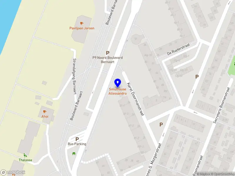 HAYA Arabesk Zandvoort
