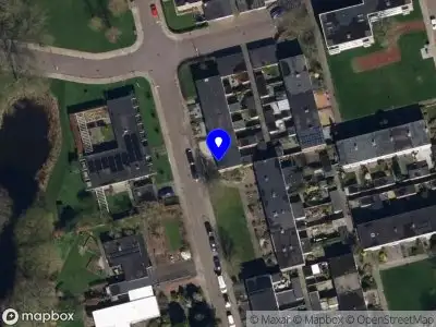 Insha Trades & Farms