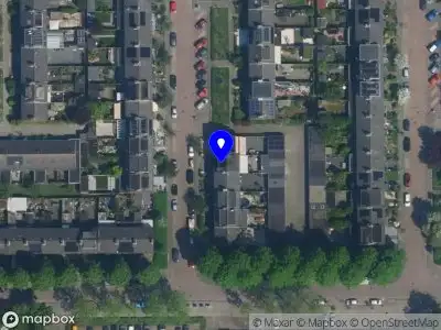 Ents world Haarlem Haarlem