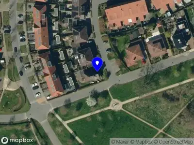 Nieuw bedrijf Momosa