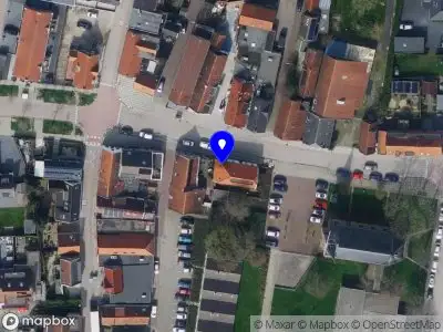 Beautiful Fleece Australian Labradoodle