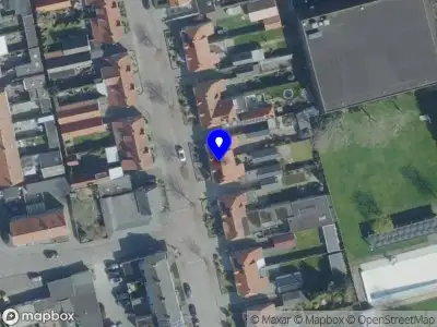 Rodney Paesch de klussenier