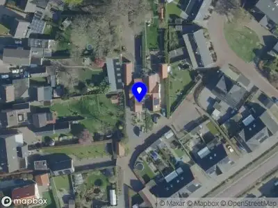 Nieuw bedrijf Lion Vintage