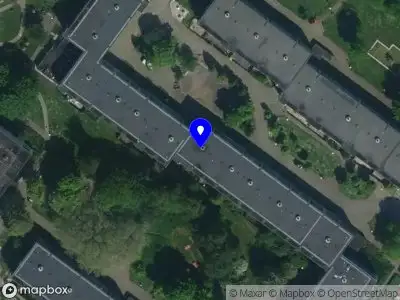 Mijke de Vos Leiderschap Amsterdam