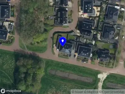 Dennis Bouwman bestuur advies coaching