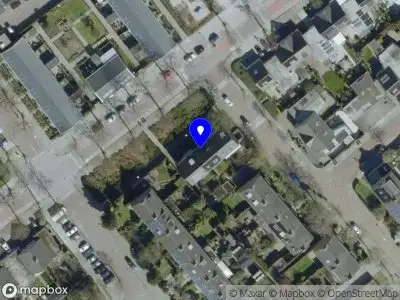 Natural Born Sportswear