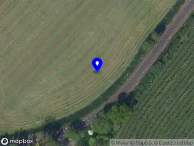 Jill Looman Healing & Coaching