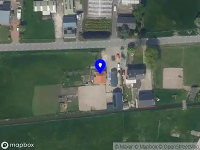 Coachen met paarden Het Groene Hart