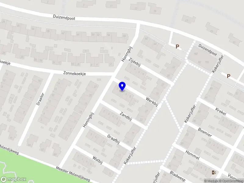 D-Rast Schoonmaak en Dienstverlening