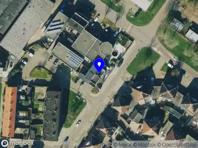 Silky chique flowers