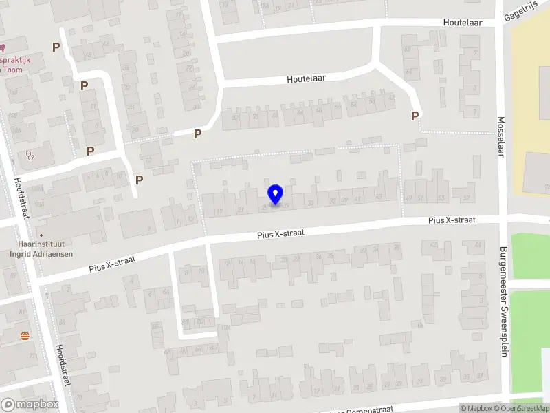 Esthers Schilderingen