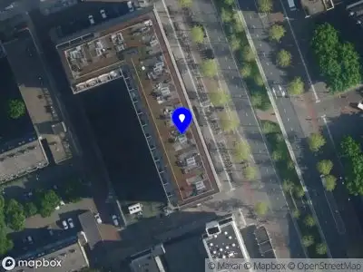 Ekin Guven Psychology Amsterdam