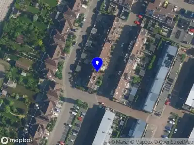 Buzzy Bee Marketing Hillegom