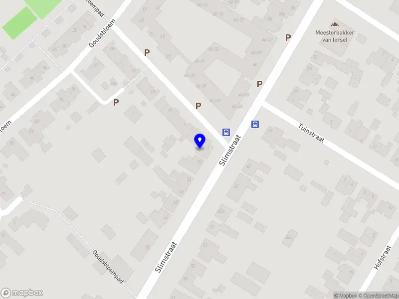 René van Dijk business services