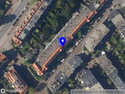 Nieuw bedrijf Little Chewies B.V.