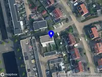 Crazy Plantlady Tessa