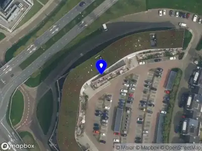 Brandsma Boomverzorging