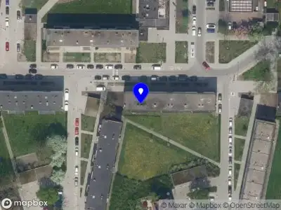 Mystic Moss Botanica