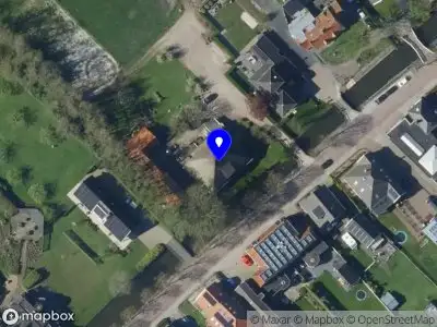 Pimpernel bloemen & meer