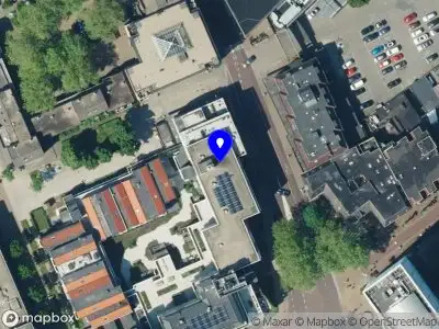 Axeemoon Huisdier Fotografie