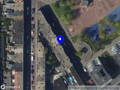 Nieuw bedrijf Tamara Flower